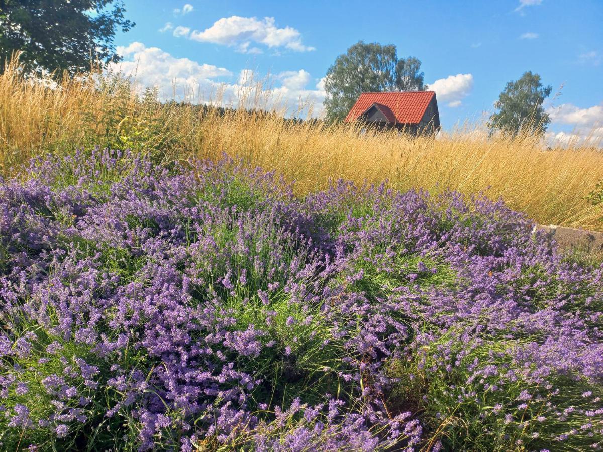 Vila Dom Malarki Mirosławiec Exteriér fotografie