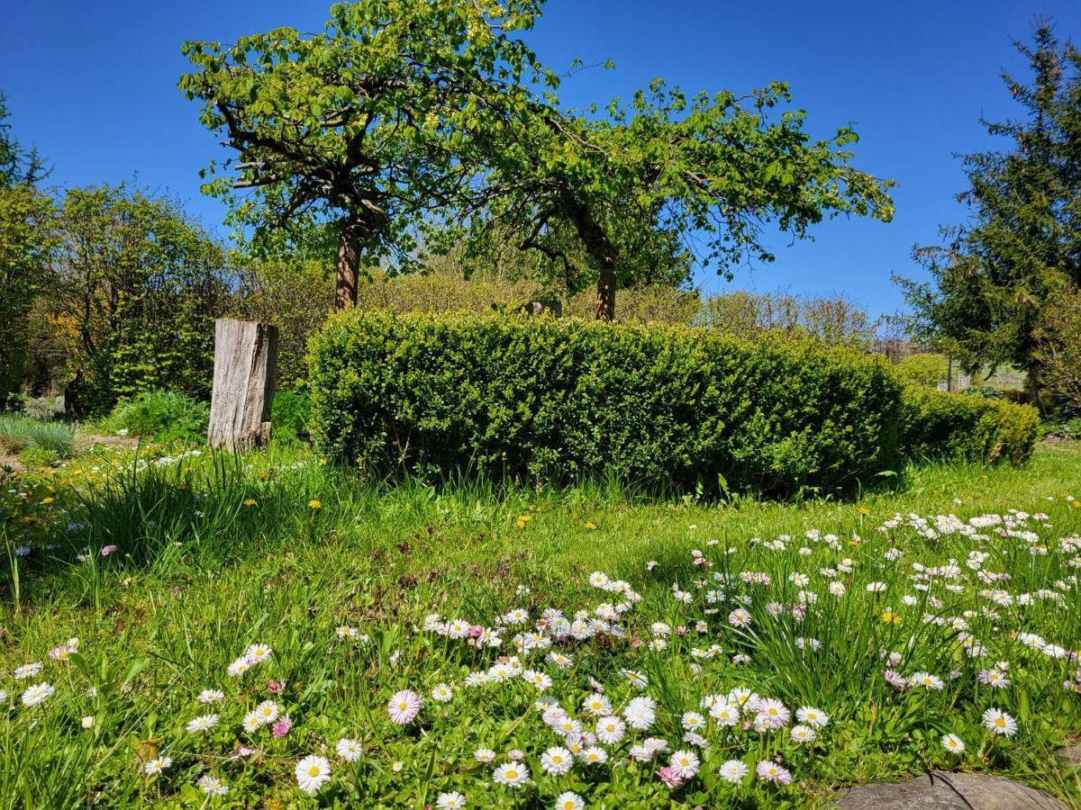 Vila Dom Malarki Mirosławiec Exteriér fotografie