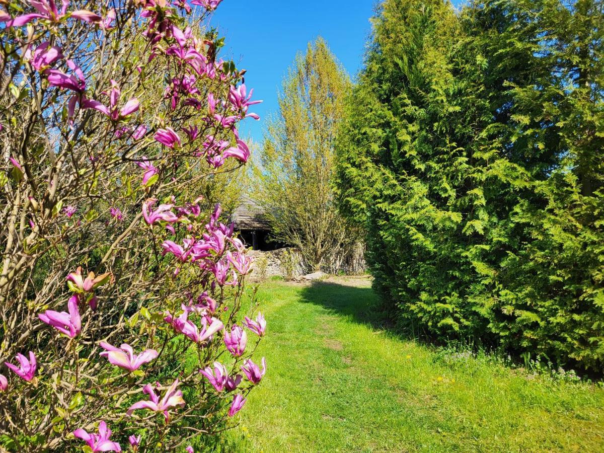 Vila Dom Malarki Mirosławiec Exteriér fotografie