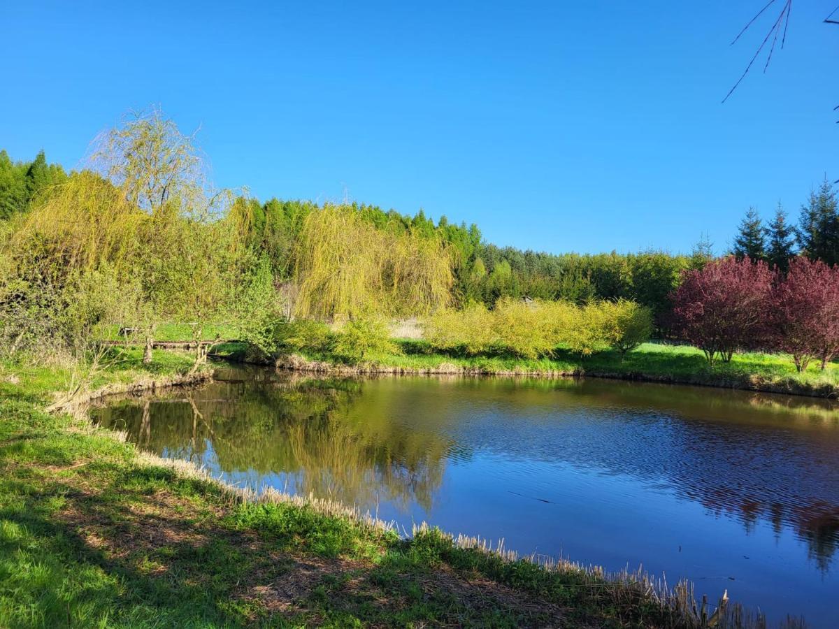 Vila Dom Malarki Mirosławiec Exteriér fotografie