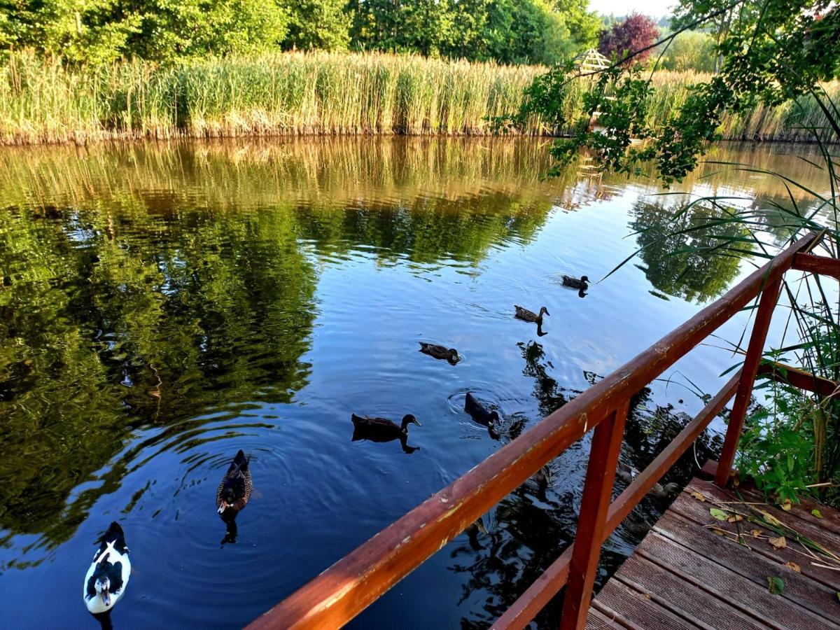 Vila Dom Malarki Mirosławiec Exteriér fotografie